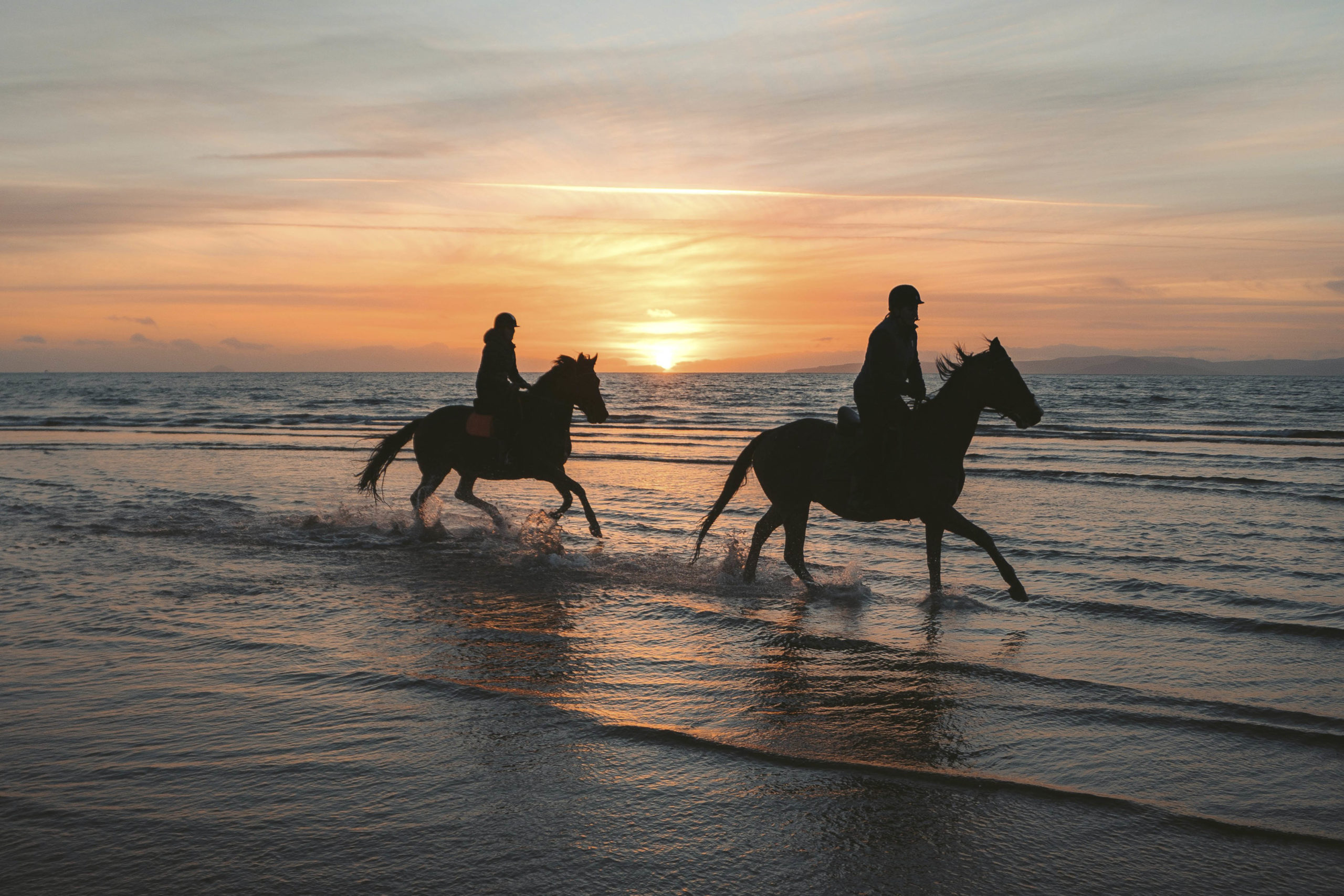 Passeggiate a cavallo